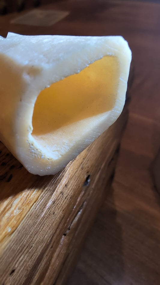 Curved pale carved material showing a dense semi-translucent wall and internal cavity during ivory-versus-bone examination
