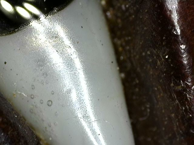 Close-up of the inlaid eyes on the wooden Guanyin mask