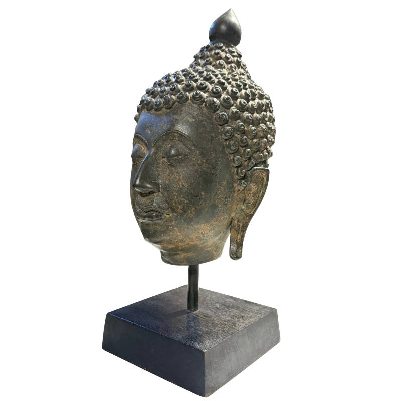Detail haarknotjes en verlichting symbool Thais brons Boeddha