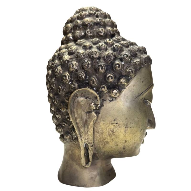 Linker zijaanzicht van het bronzen Boeddhahoofd met nadruk op de karakteristieke lange oorlellen.