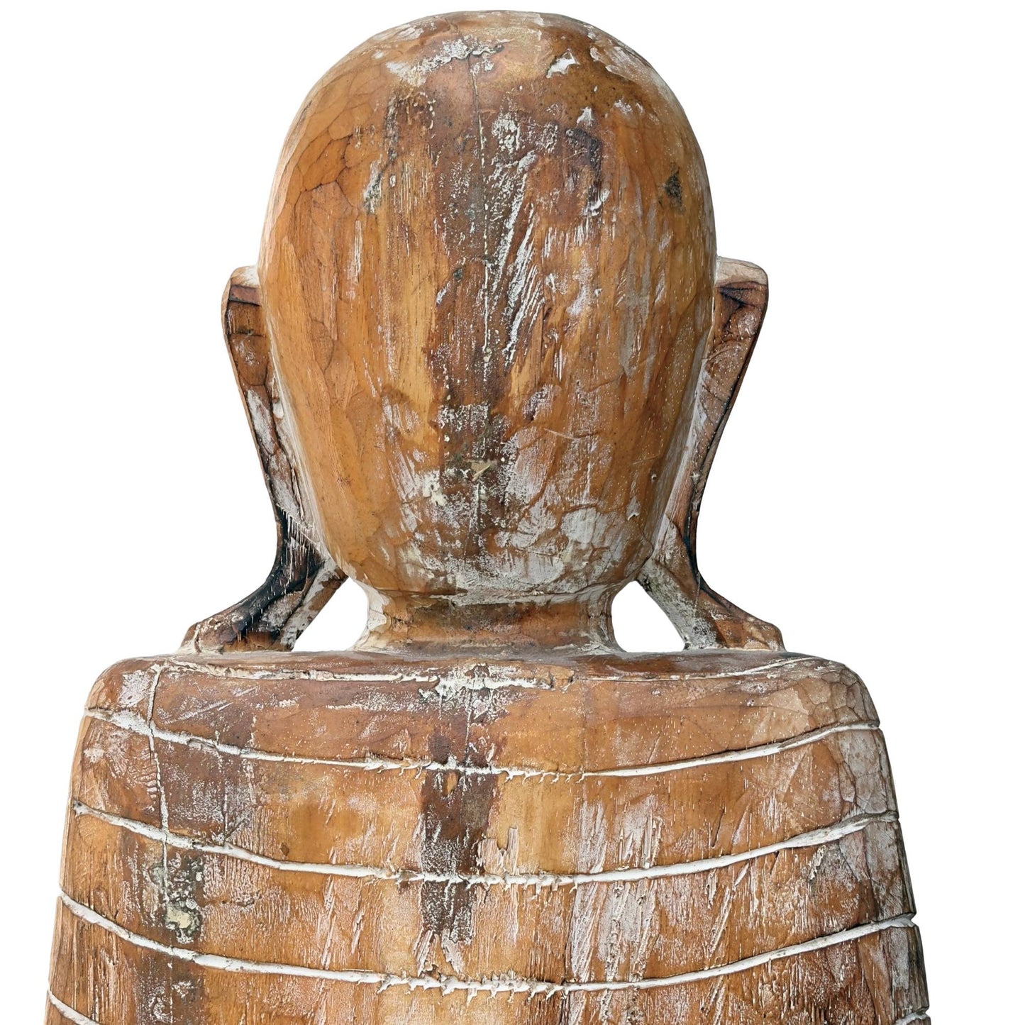 Macro-opname van de achterzijde van het hoofd met de ongetoucheerde donkere houtnerven en karakteristieke anatomische contouren