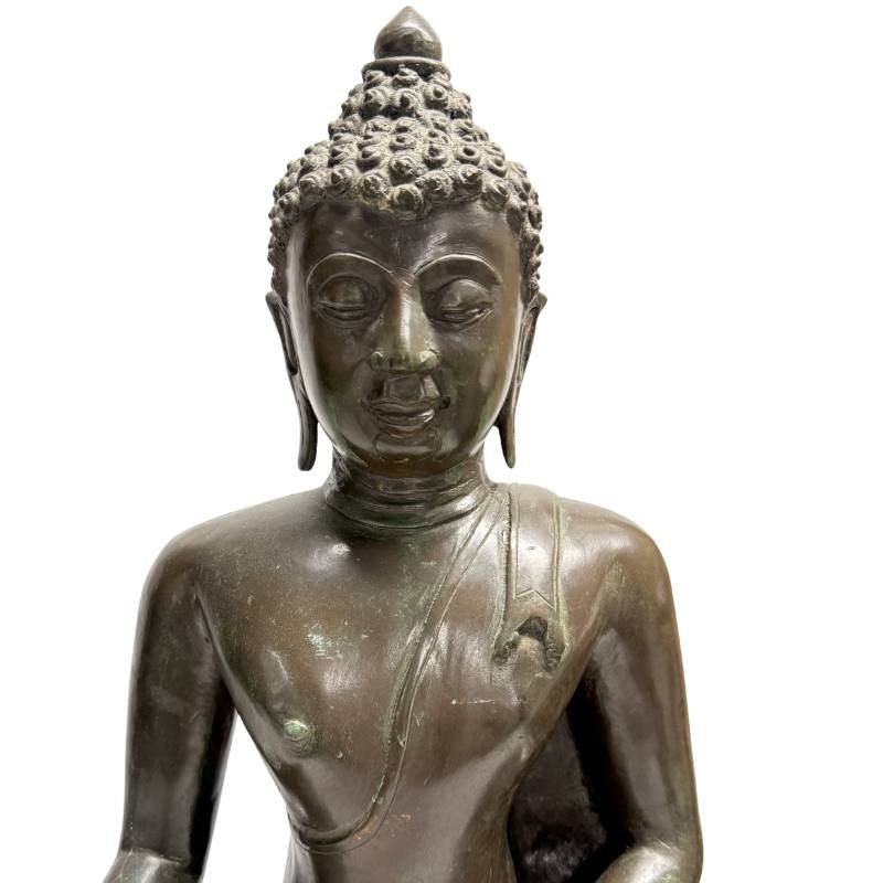 Close-up van het serene gelaat van de Shakyamuni Boeddha met neergeslagen ogen, langgerekte oorlellen en een geprononceerde meditatieve uitdrukking.