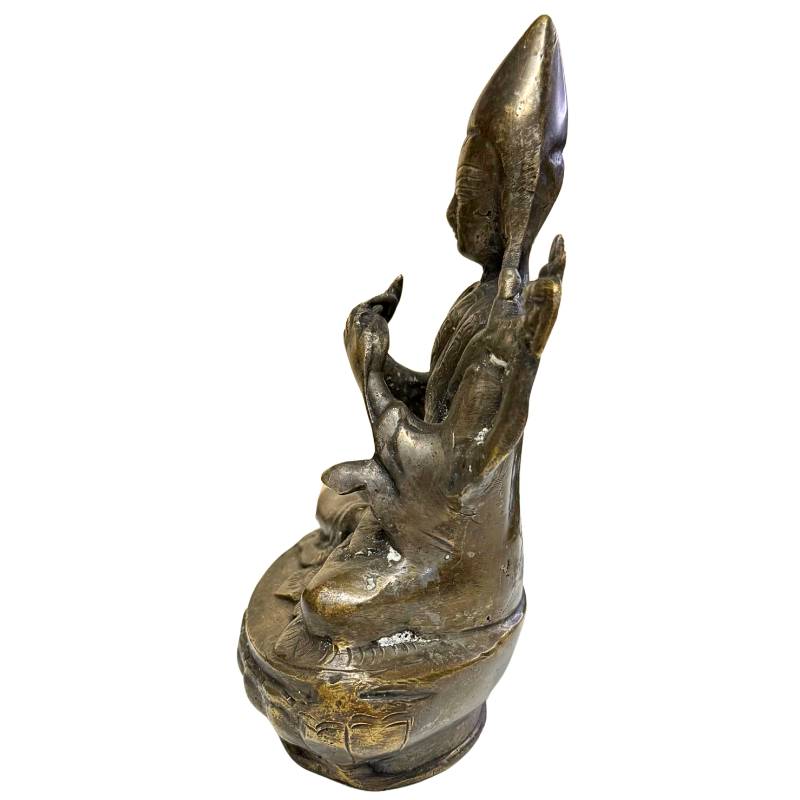 Detail van diepe mineralisatie en cuprietvorming op 18e-eeuws bronzen lama beeld
