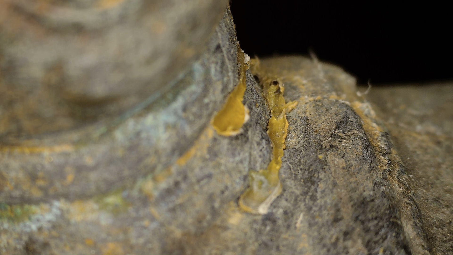 Close macro study of the historic lacquer and gilded surface on the Ayutthaya Buddha, detail 04