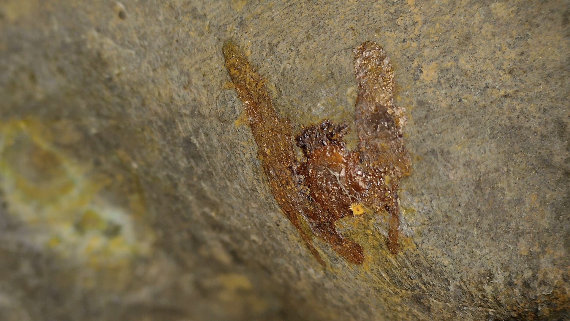 Macro detail showing surface wear, patina and surviving gilding on the Ayutthaya Buddha, view 05