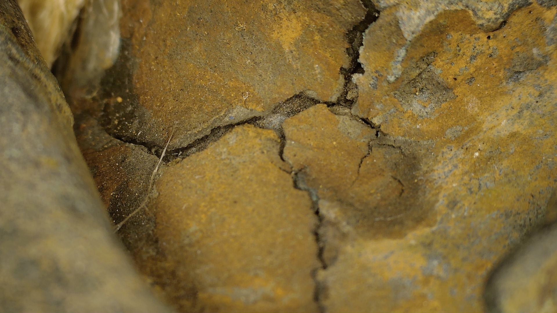 Microscopic-style surface view of lacquer, patina and gilt traces on the Ayutthaya Buddha, detail 06