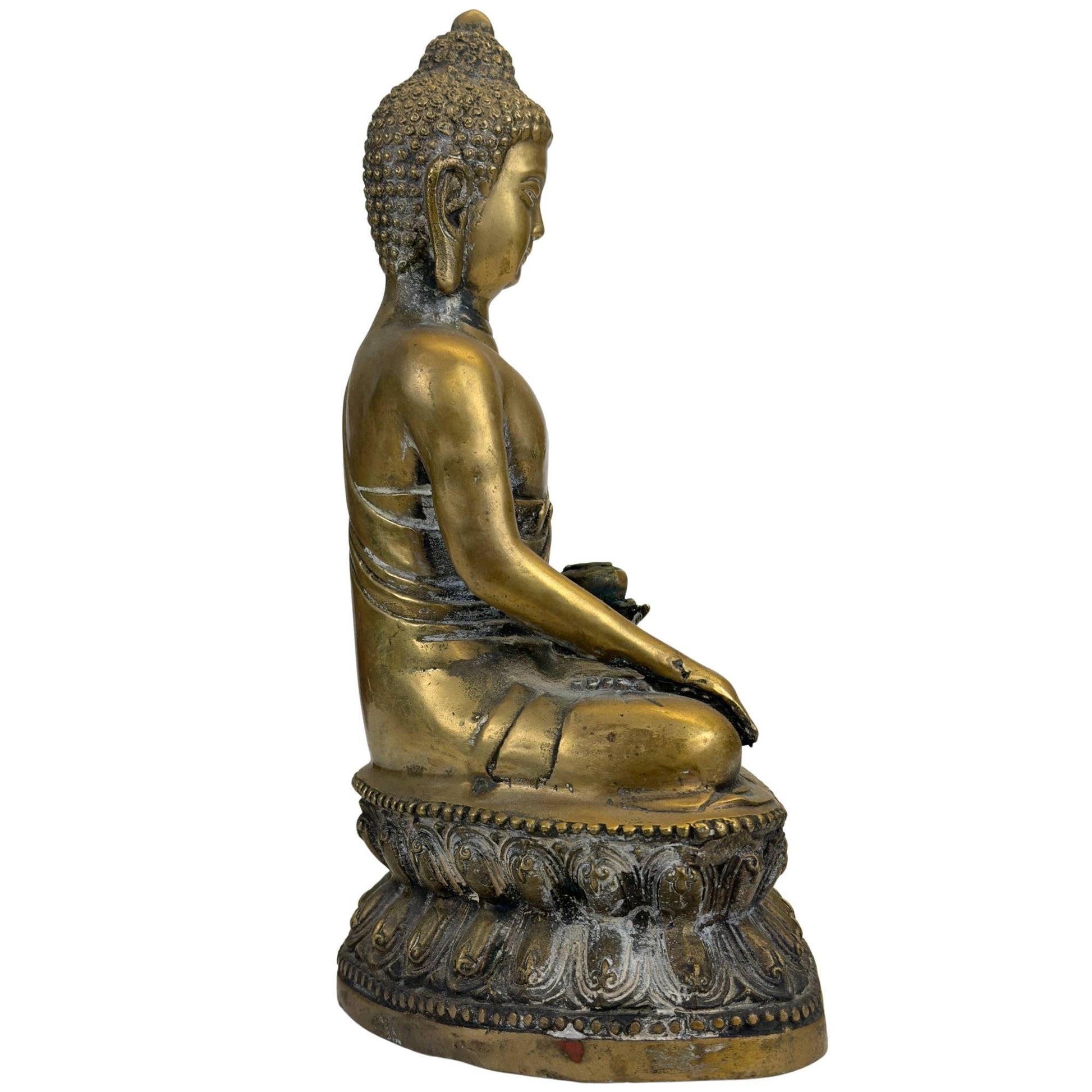 Bhaishajyaguru Boeddha symbool voor gezondheid en genezing
