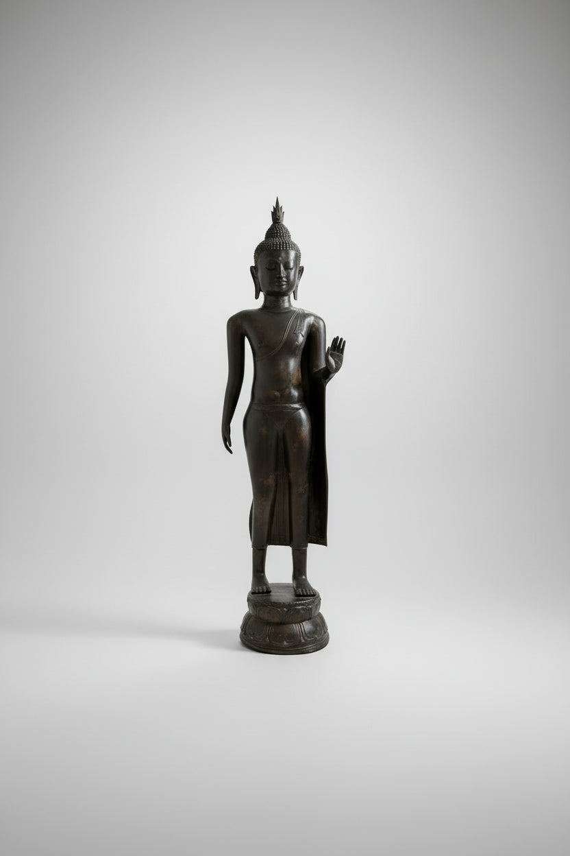 Detail van de beschermende Abhaya Mudra hand