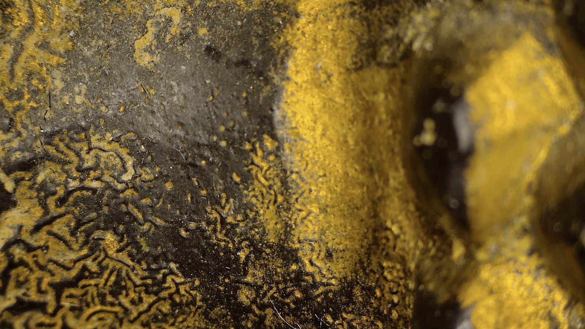 Microscopic view of lacquer craquelure and gilding traces on the Burmese reclining Buddha