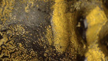Microscopic view of lacquer craquelure and gilding traces on the Burmese reclining Buddha