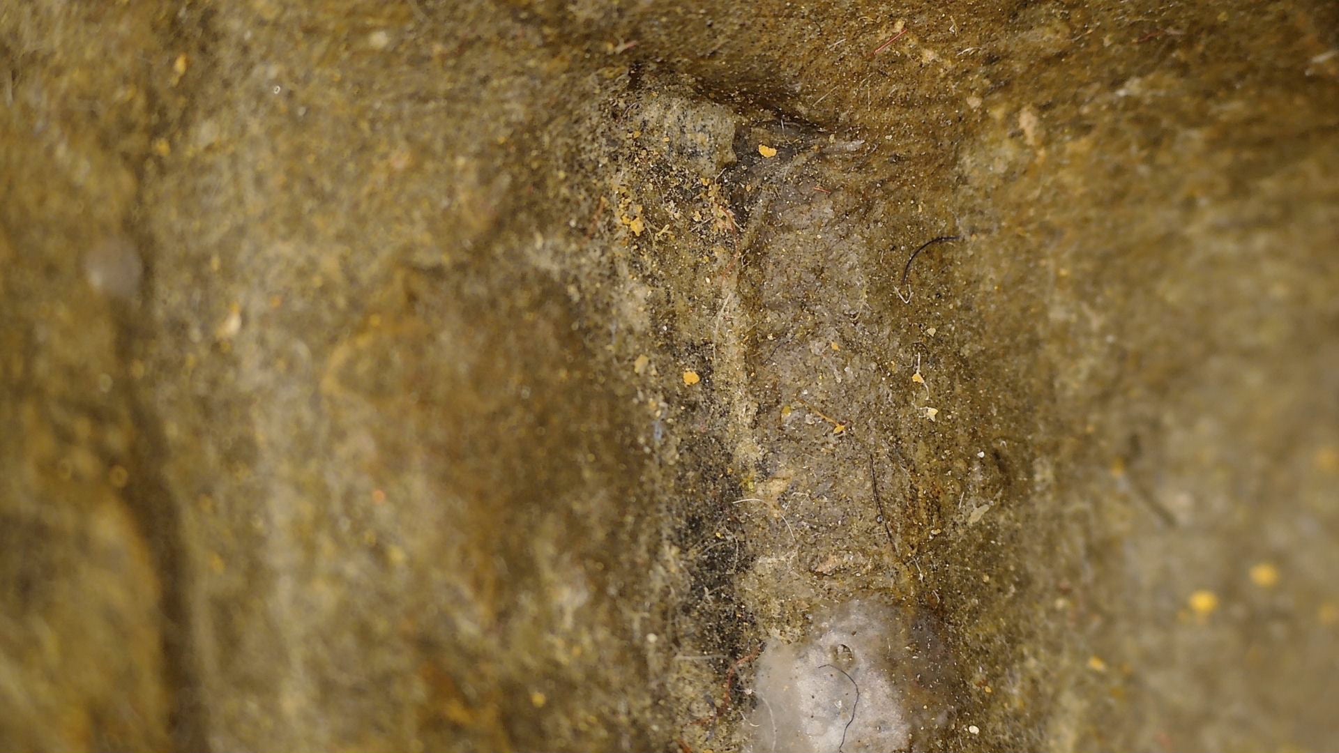 Early Chinese Stone Bodhisattva Stele – Guanyin Attribution, 45.6 cm – close view of the lower section