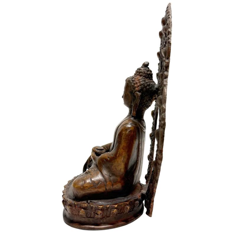 Right profile of Himalayan bronze Buddha with earth-touching gesture and aureole