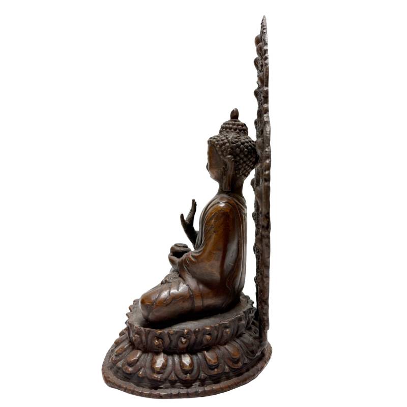 Left profile of Himalayan bronze Buddha with raised teaching gesture and aureole