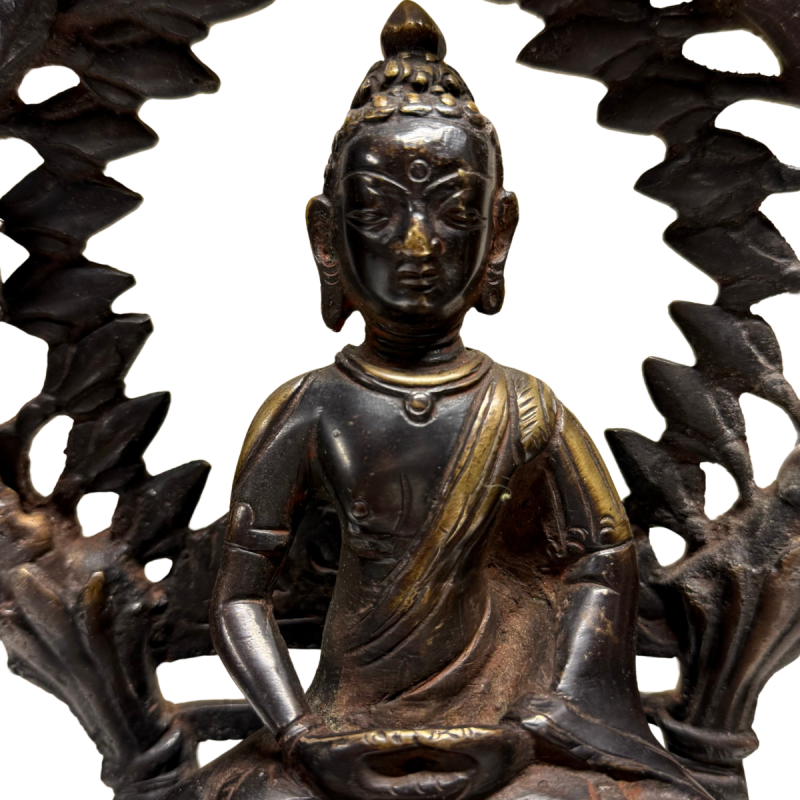 Himalayan Shakyamuni Buddha, detail of face, robe and surviving gilding