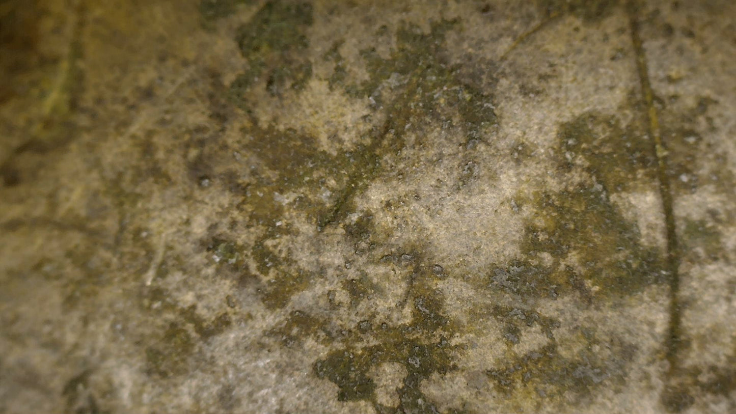 Microscoopdetail van de gelaagde patina op een 18e-eeuwse Indo-Perzische huqqa
