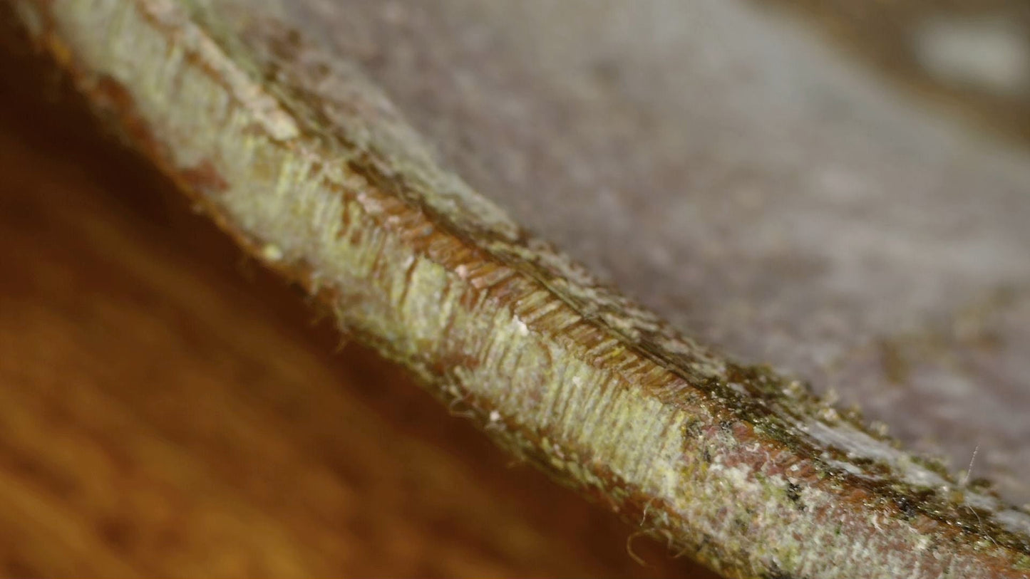 Macro view of the cut casting edge around the open underside