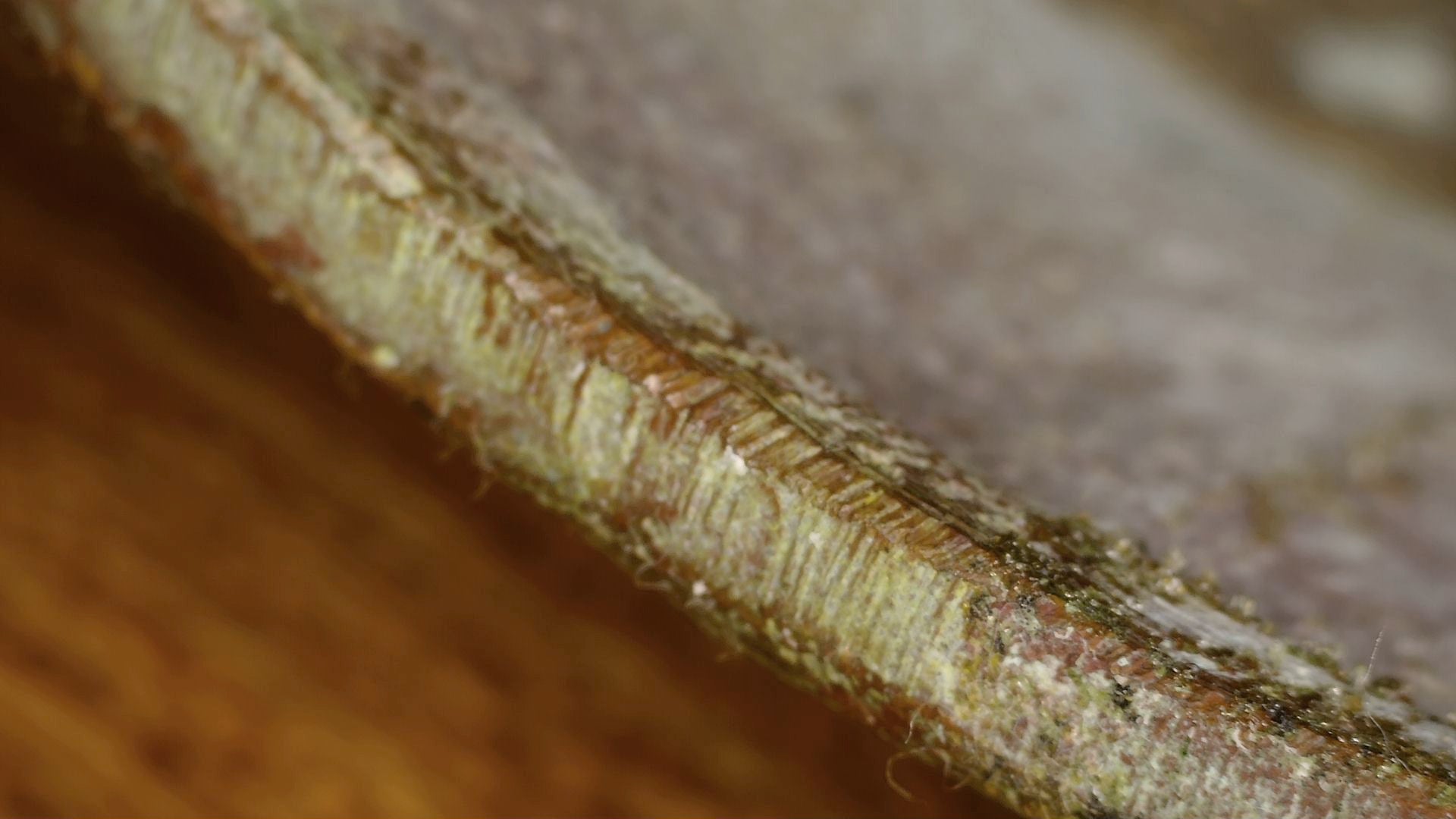 Macro view of the cut casting edge around the open underside