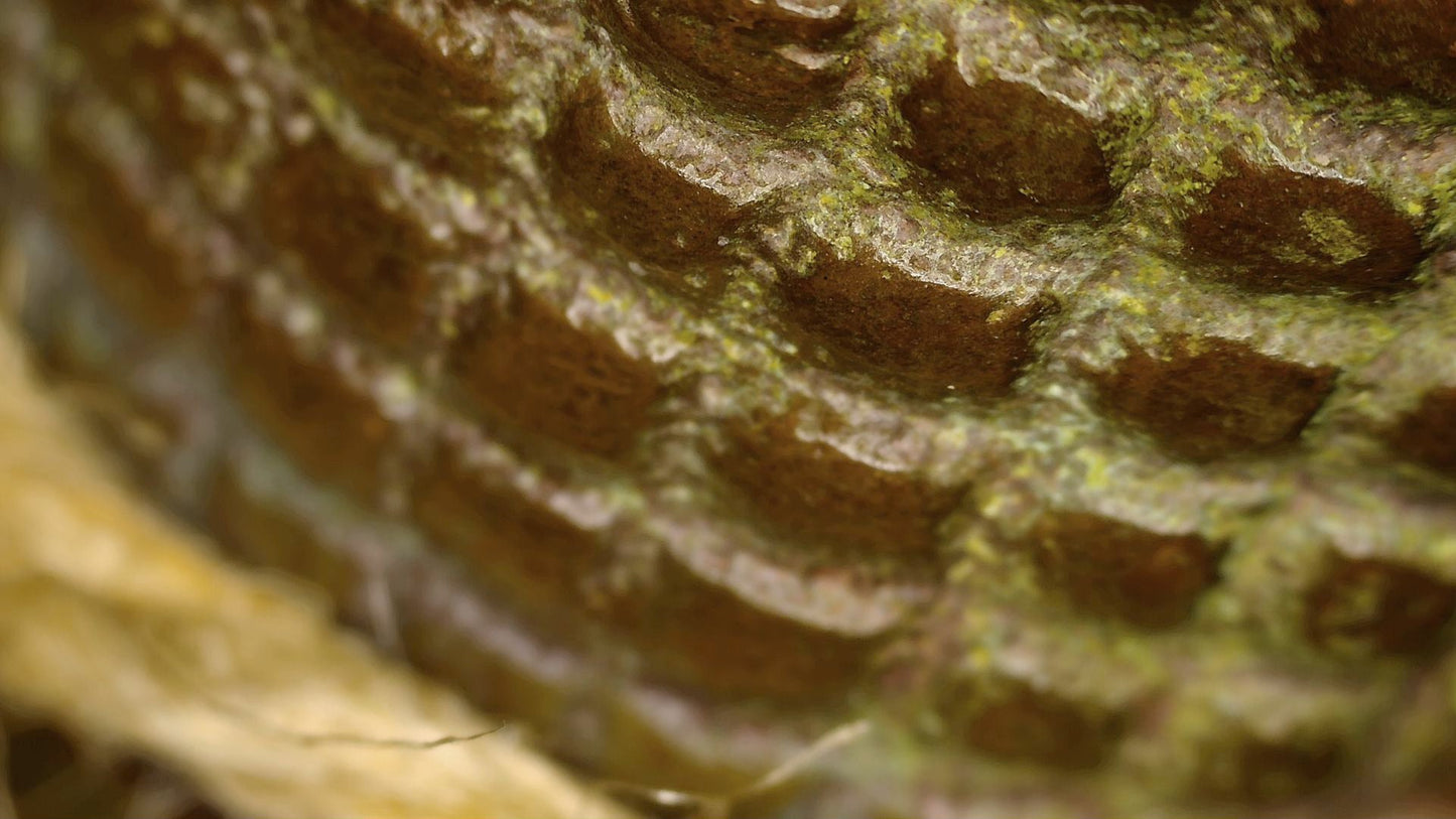 Macro detail of the Buddha’s patterned hair with oxidation in the recesses