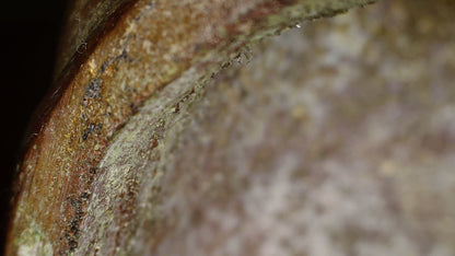 Macro detail of the interior rim and accumulated surface deposits