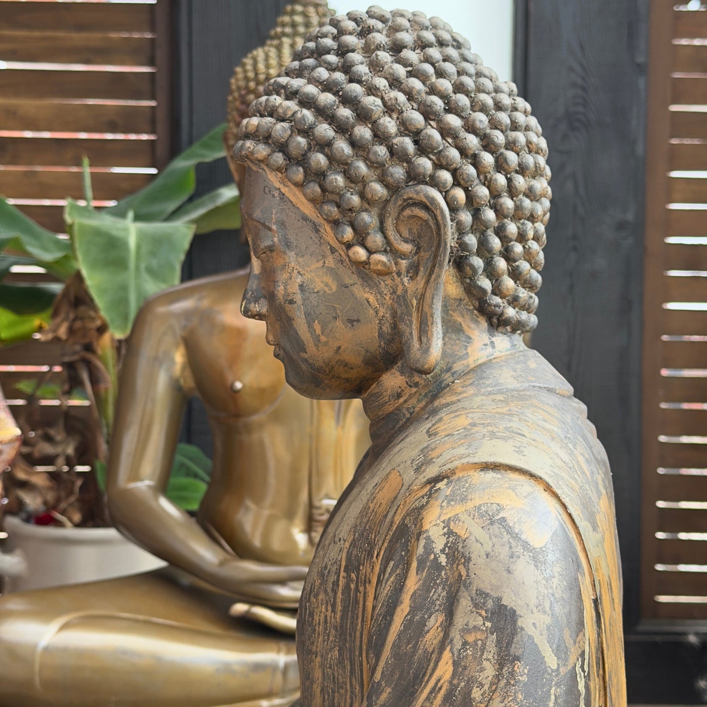 Dhyana mudra of the antique Japanese seated Buddha