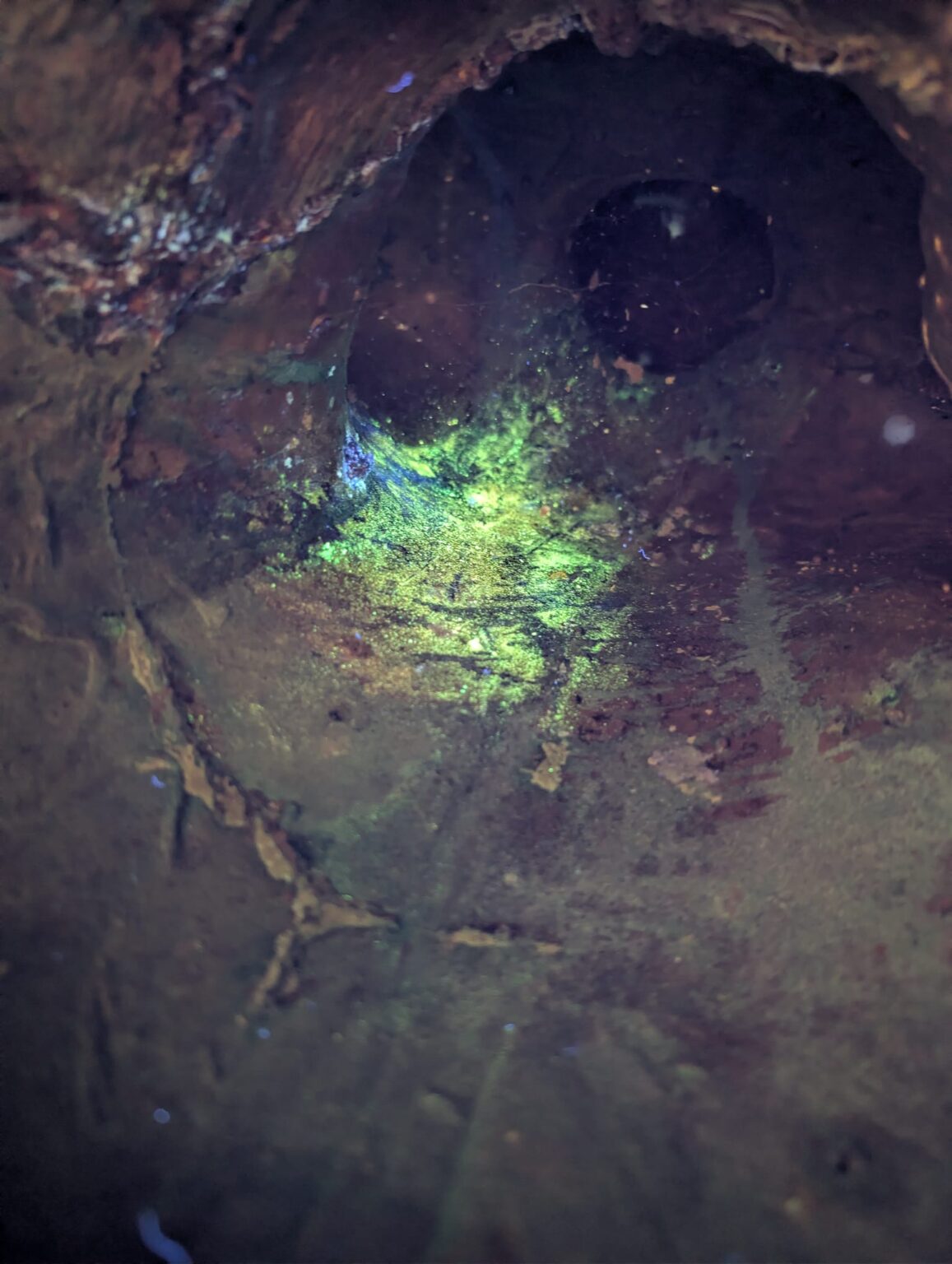 Fire-gilded surface of the bronze Buddha viewed under UV light