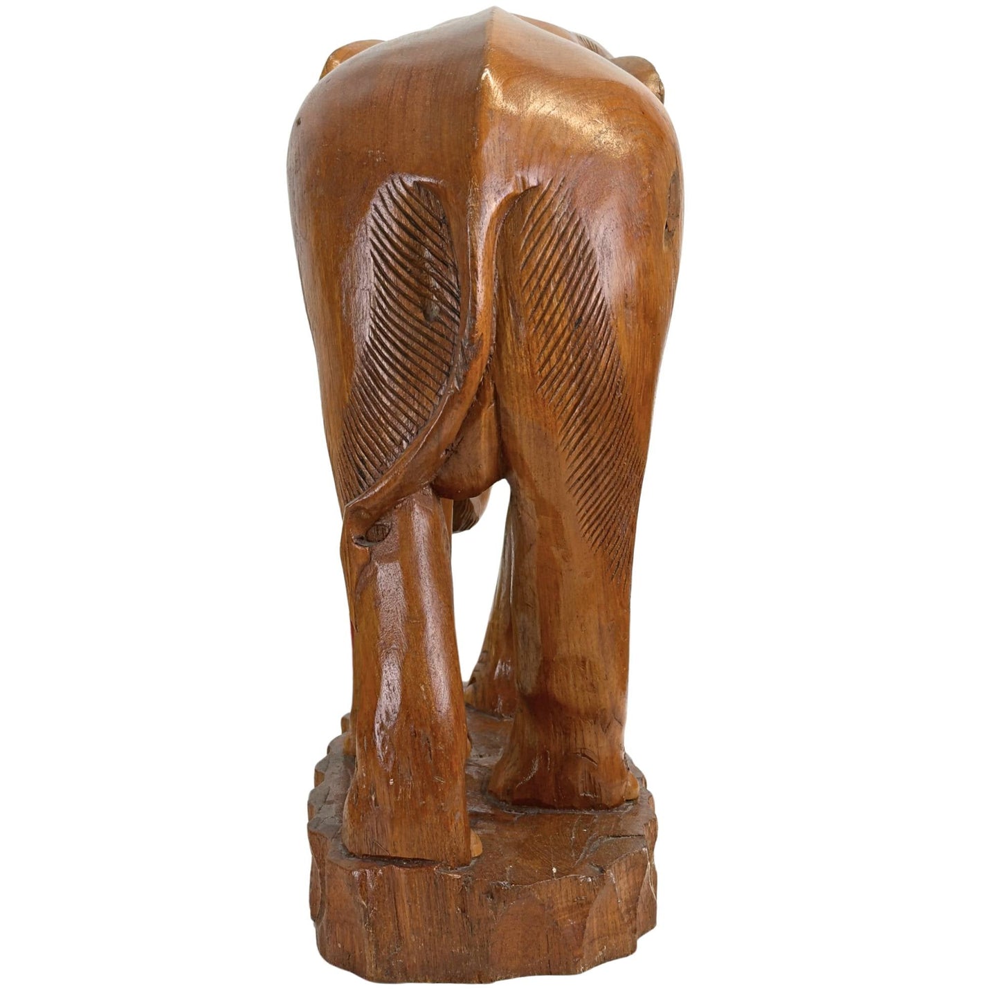 Close-up van de staart van de kleinste olifant