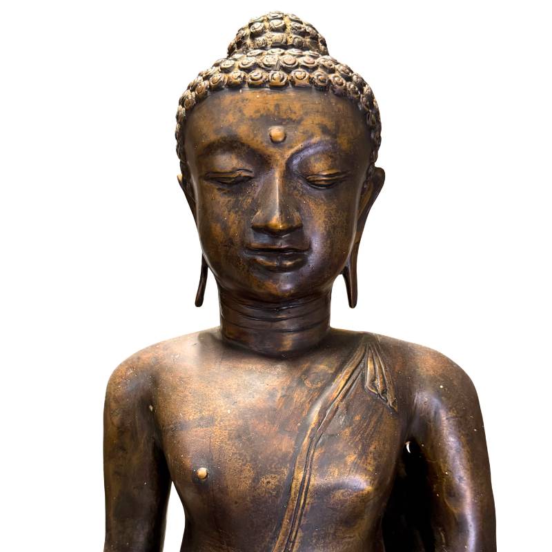 Rijke, natuurlijk opgebouwde patina op een monumentaal Javaans verzamelobject.