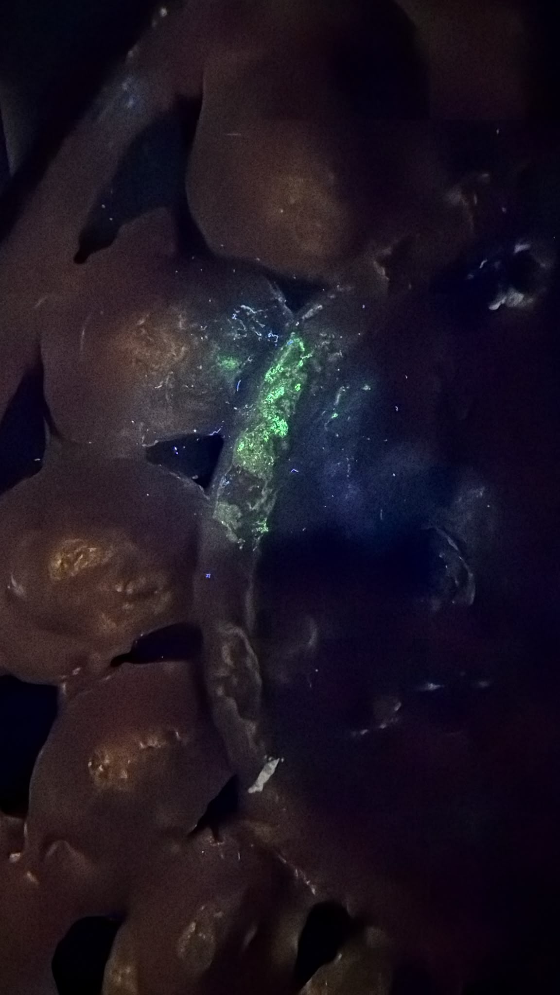 Ultraviolet surface study of the antique Nepalese Green Tara showing historic surface variation