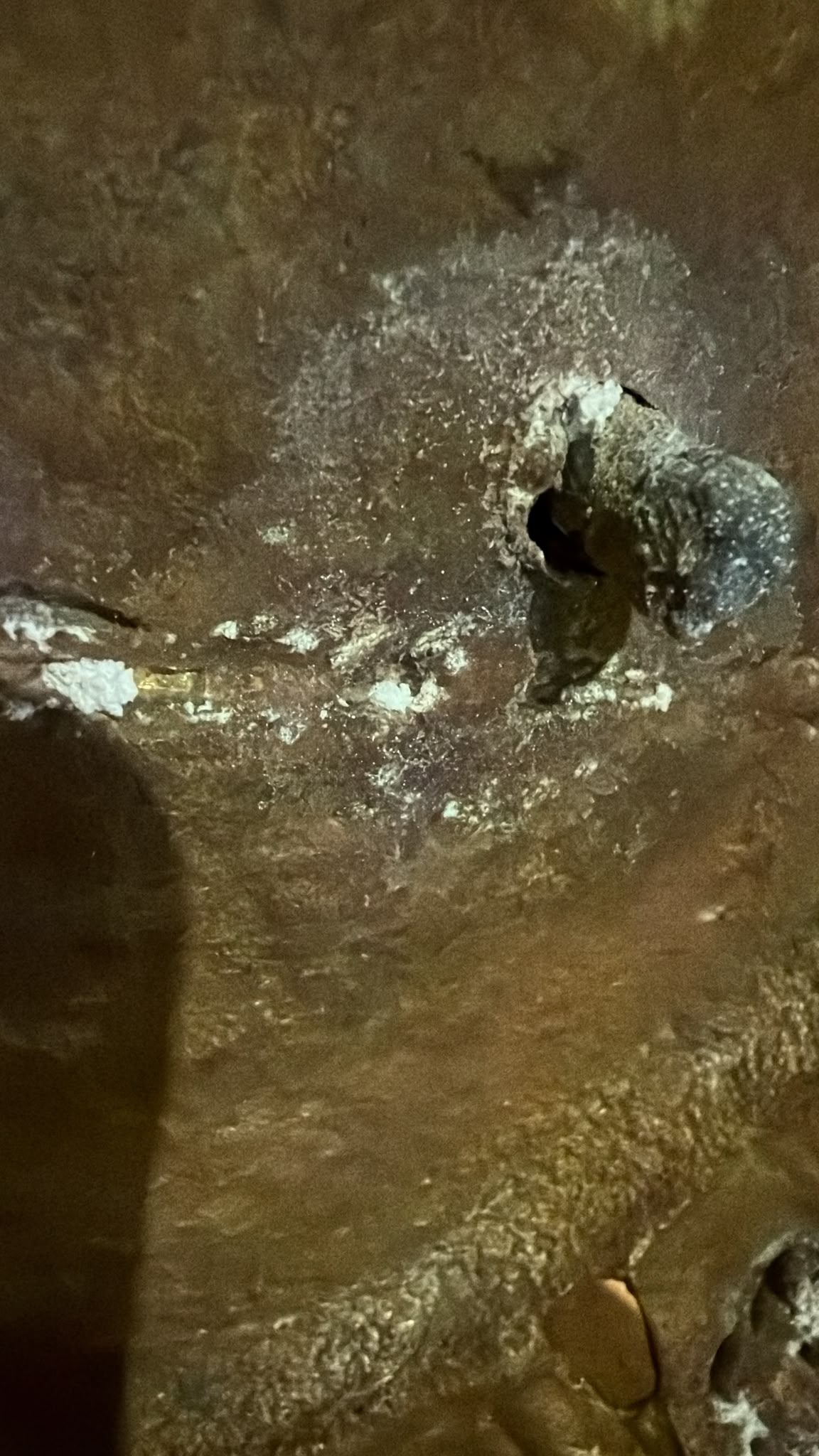 White mineral surface deposit on the antique Nepalese Green Tara