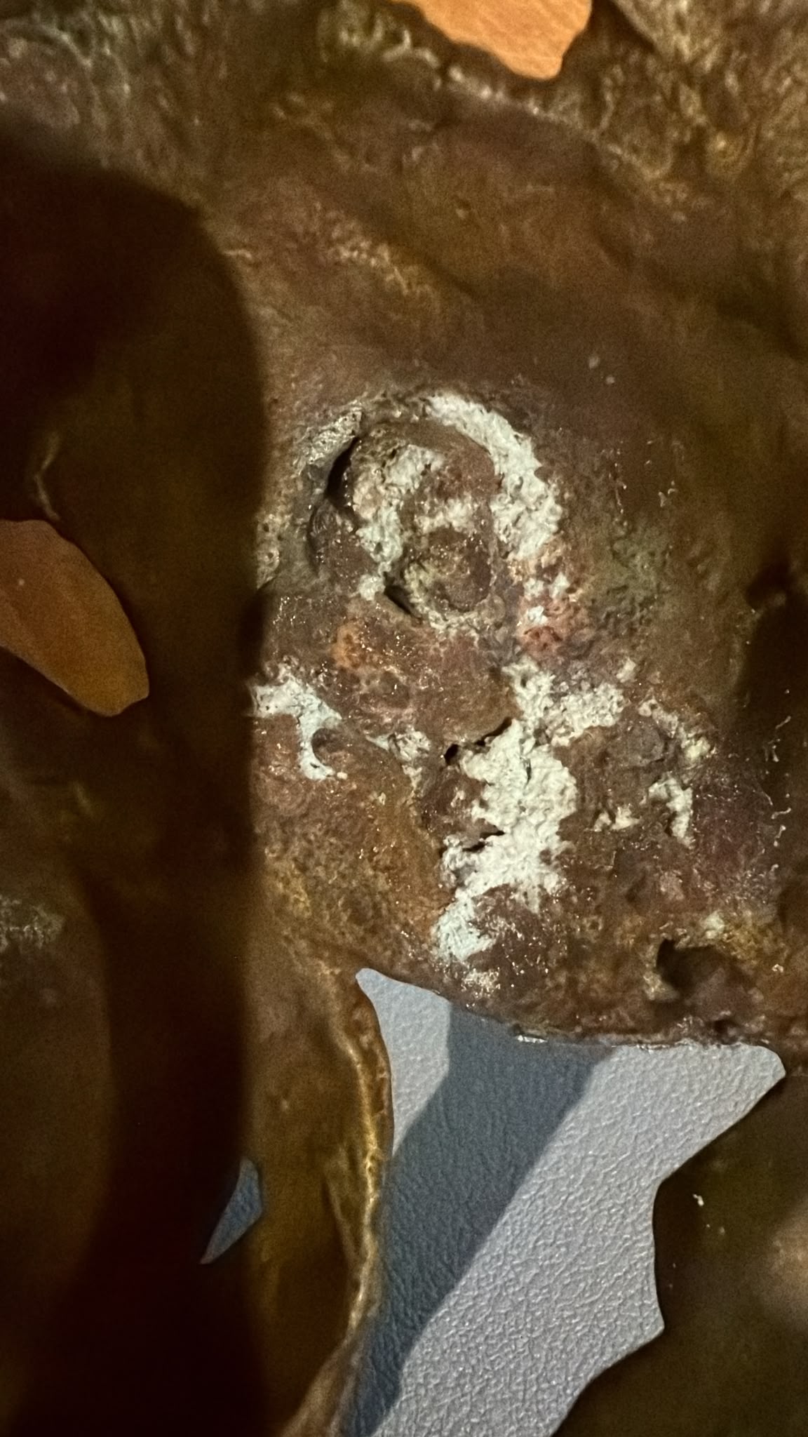 Close detail of an aged white mineral deposit on the bronze surface of the Green Tara