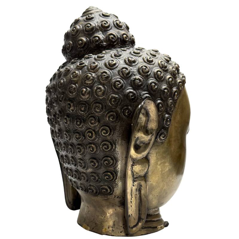 Old Gilt Buddha Head – Bronze, South / Southeast Asia, 32 cm – left three-quarter rear view