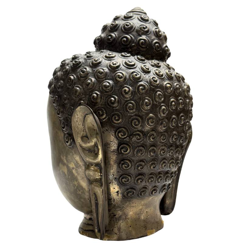 Old Gilt Buddha Head – Bronze, South / Southeast Asia, 32 cm – right three-quarter rear view