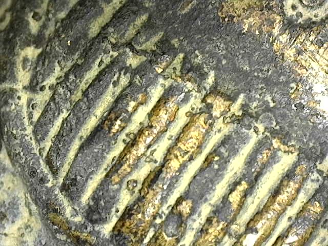 Dino-Lite opname van het gouden rituele deposito in de kern; vertoont geen reactie op aceton, wat de aanwezigheid van puur edelmetaal bevestigt.