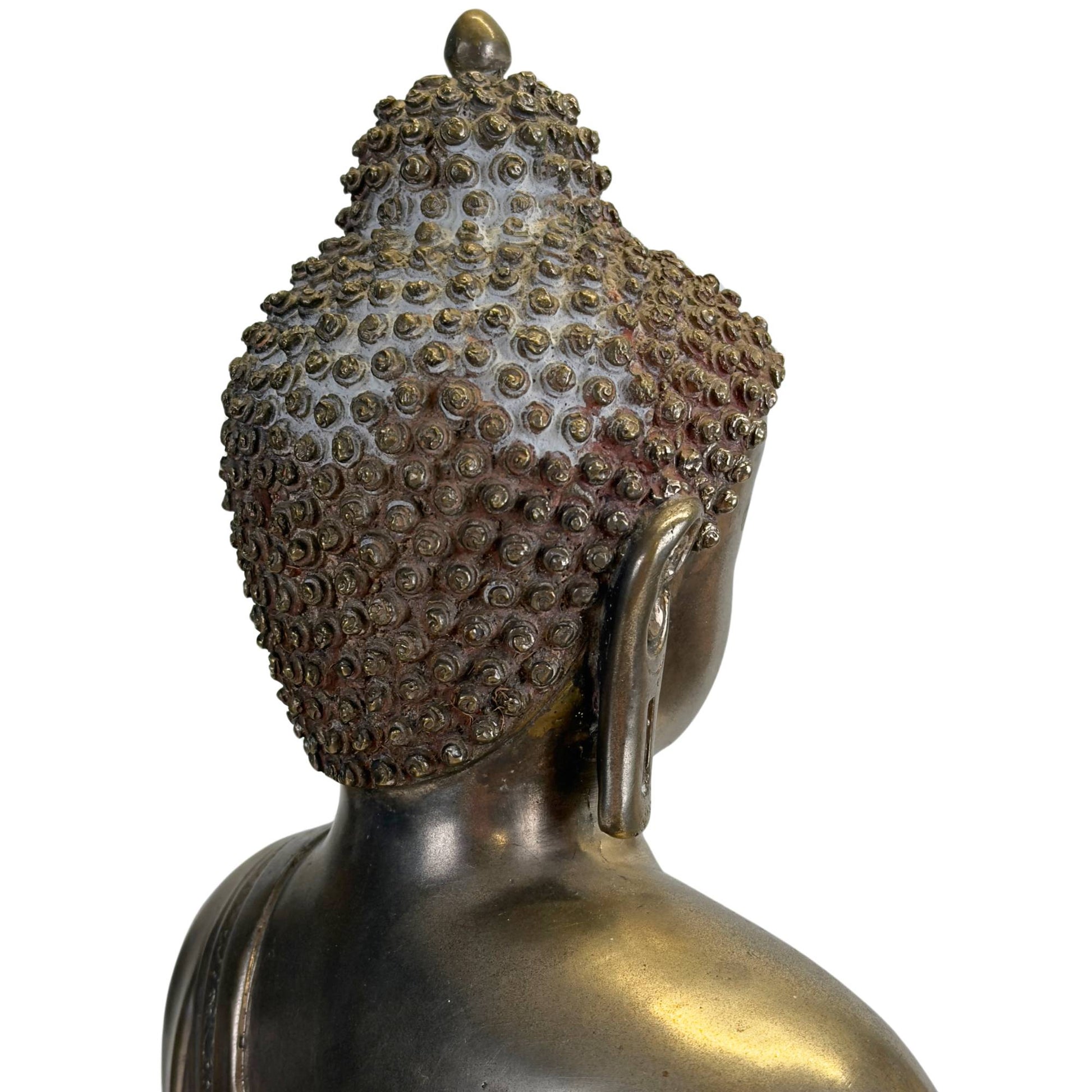 Ushnisha and hand-modelled hair curls of the antique silvered Medicine Buddha