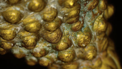 Microscopic view of patina and historic deposits between the hair curls