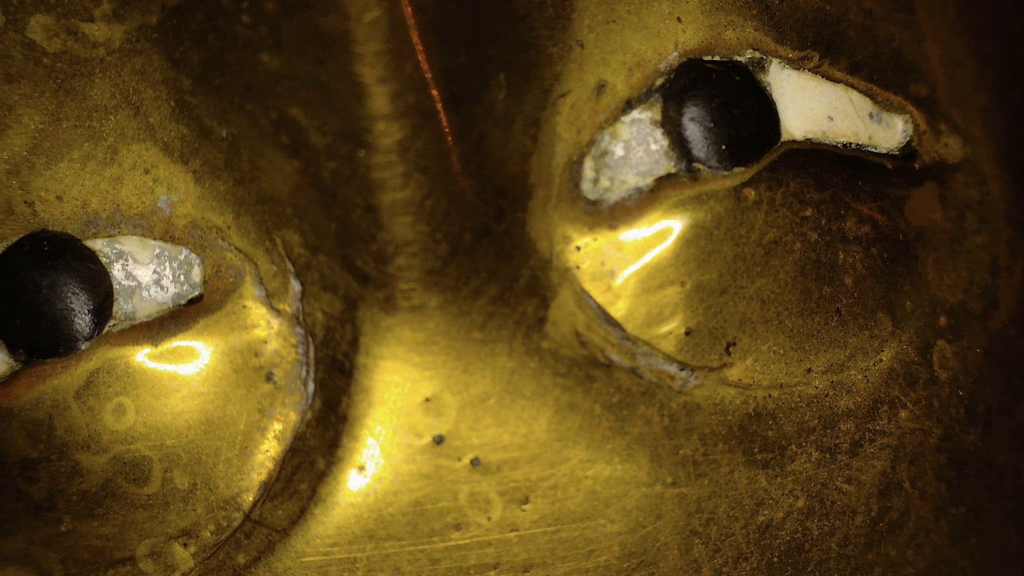 Microscopic detail of the inlaid eyes with light eye material and dark pupils