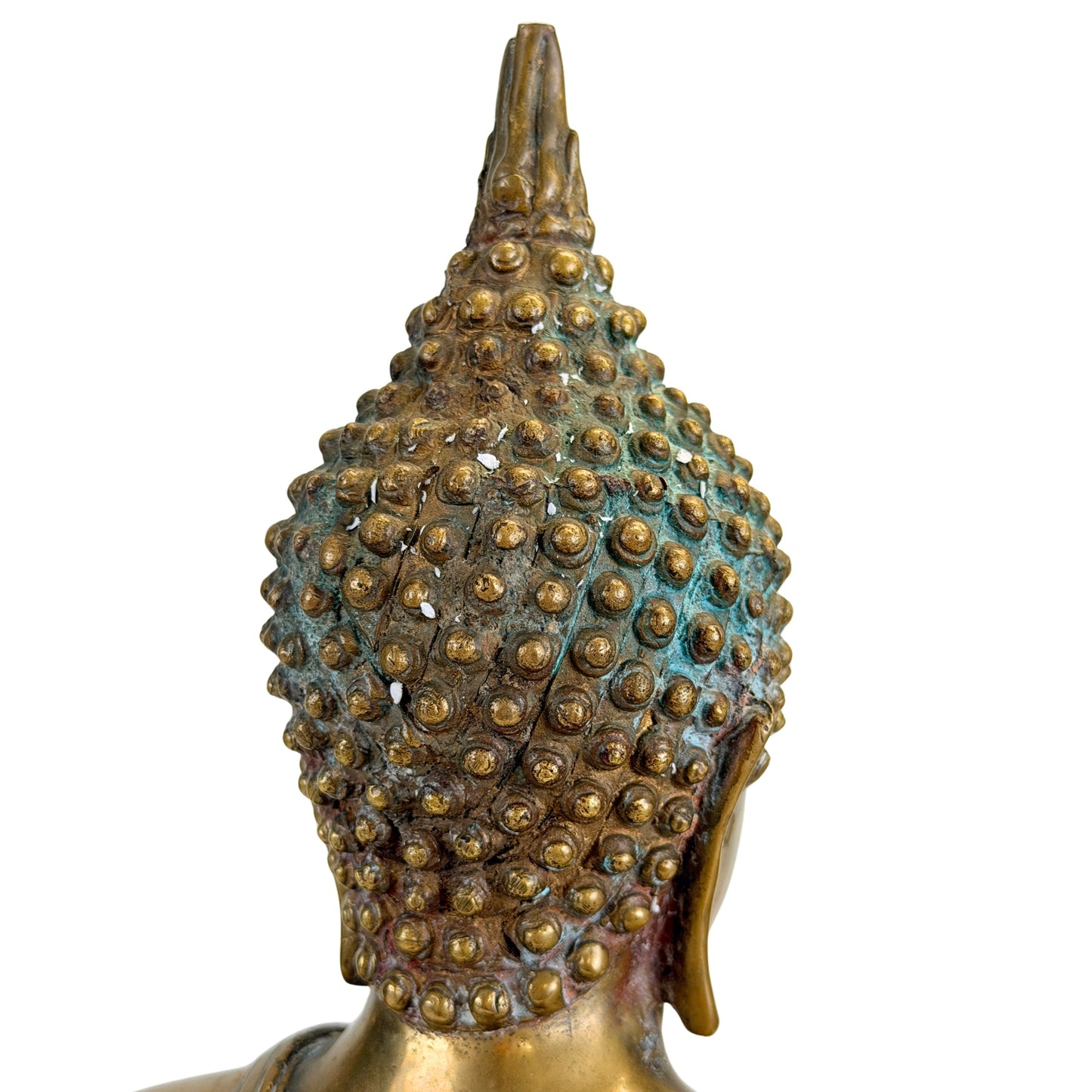 Rear head detail showing turquoise-green patina among the hair curls