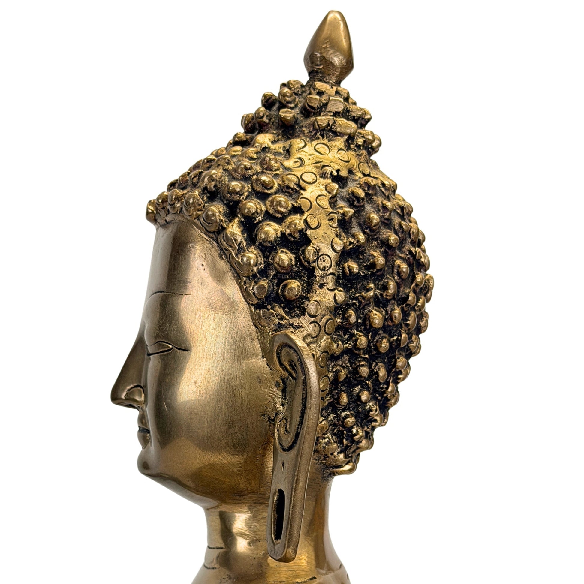Left profile of the head of the antique Tibetan Shakyamuni Buddha