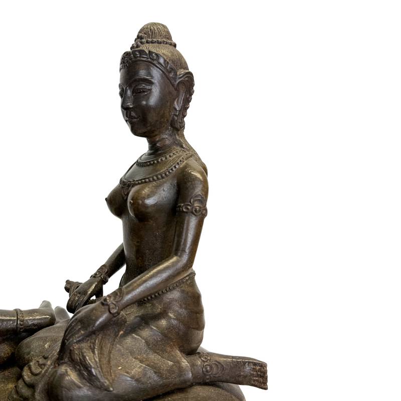 Luxe spirituele woondecoratie Vishnu op slang messing